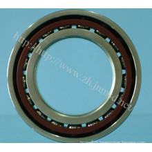 Wheel Bearing, SKF Bearing, Angular Contact Ball Bearing (AC5836)